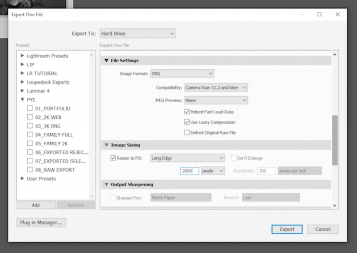 Choose Lossy Compression to reduce file size