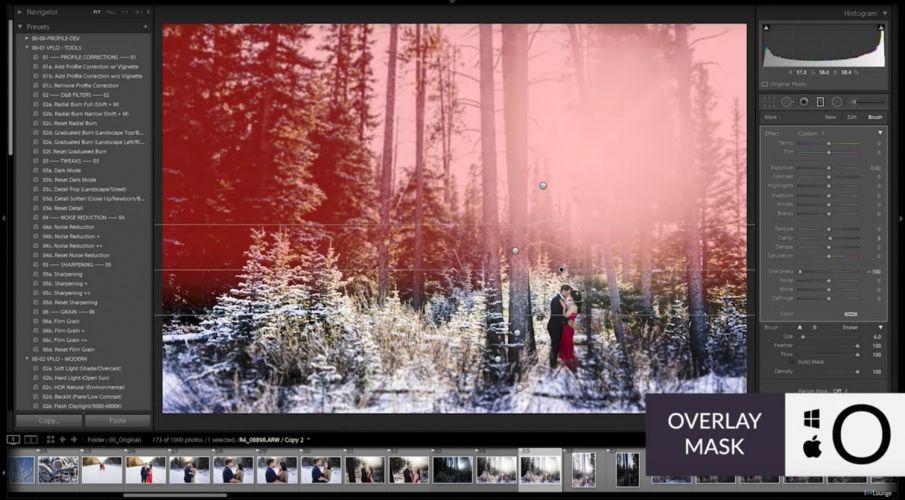 How To Tilt Shift in Lightroom Quickly and Easily