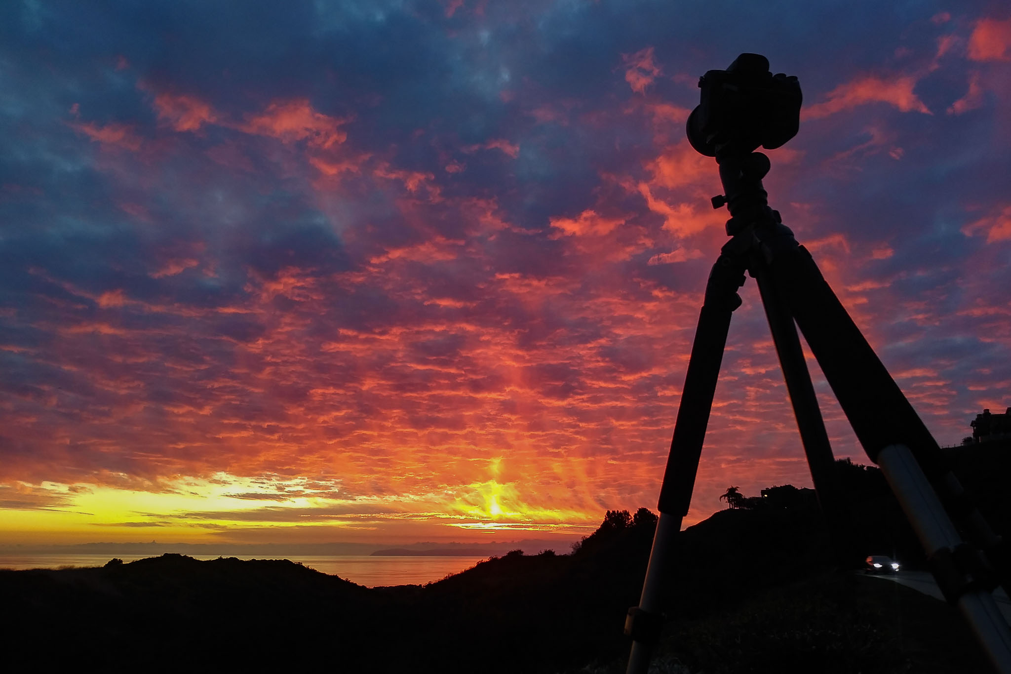 Best Tripod For Landscape Photography