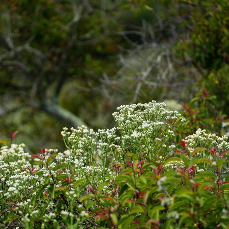 Tamron 70 180mm f 2 8回顾人像婚礼镜头05