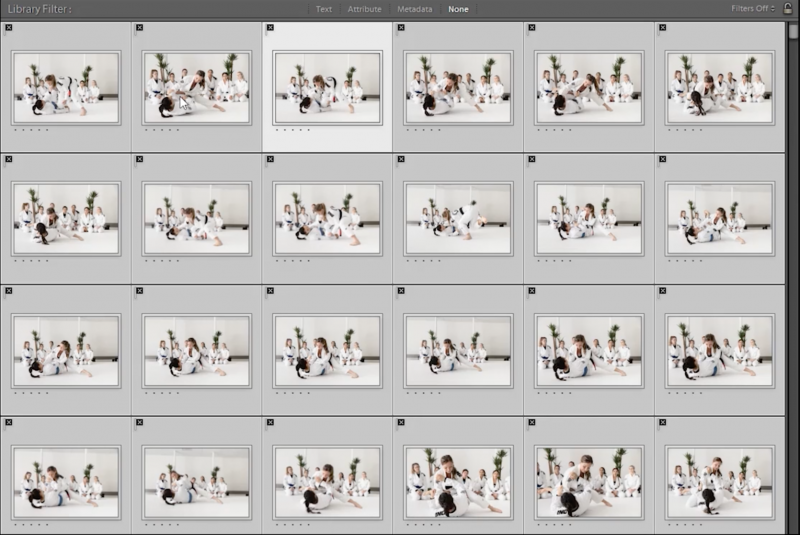 Culling Definition What is Culling by SLR Lounge