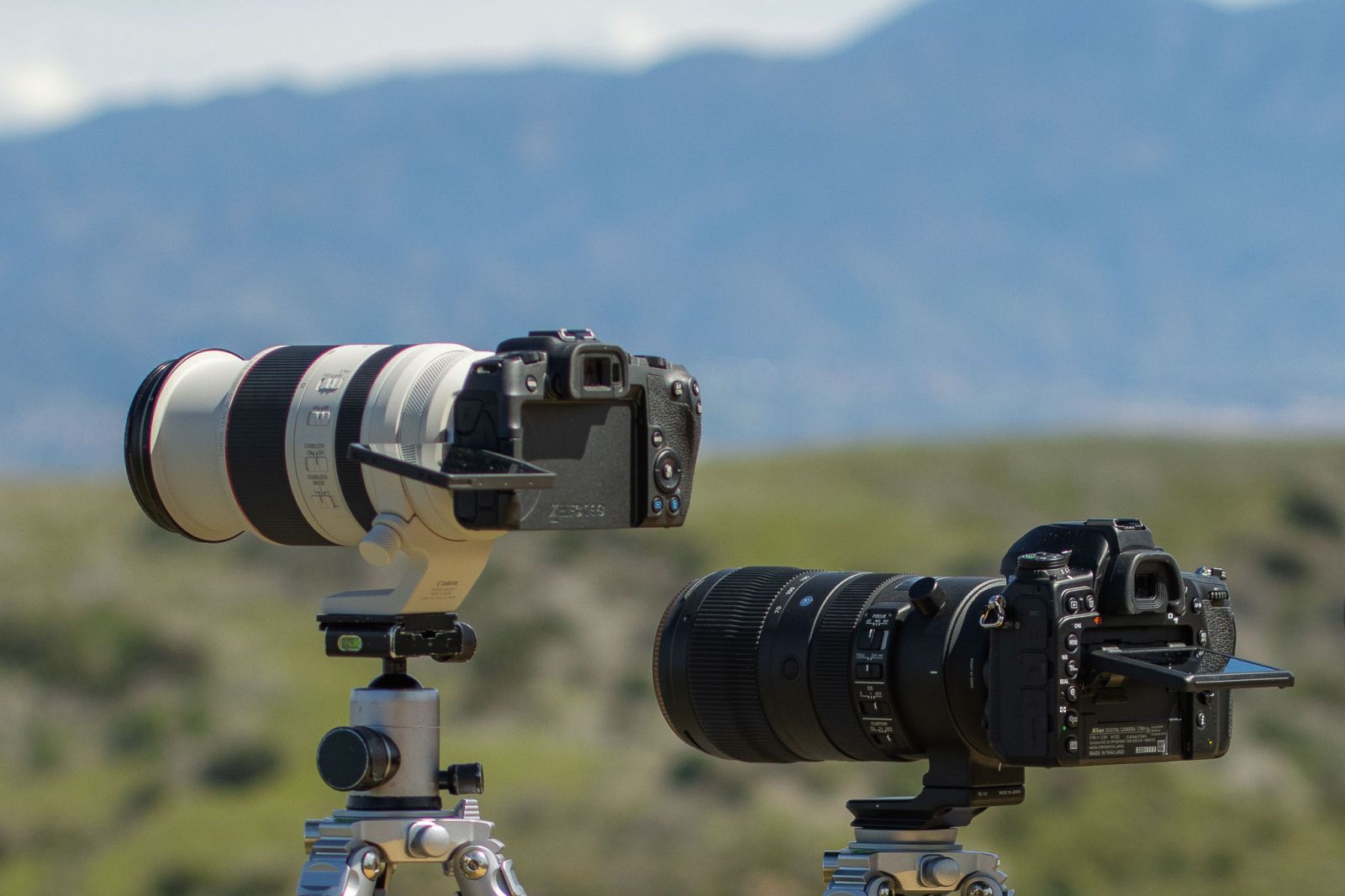 DSLR vs Mirrorless Cameras | Which Is the Right Option for You?