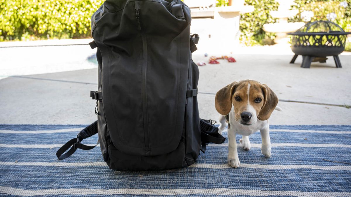 Most versatile outlet backpack