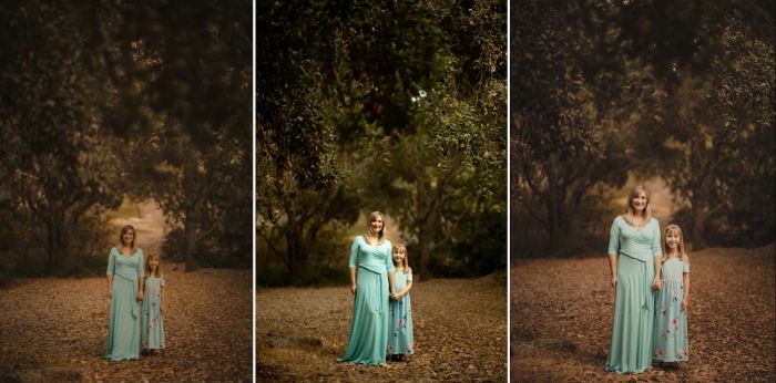 natural light family portraits light vs shade first shot