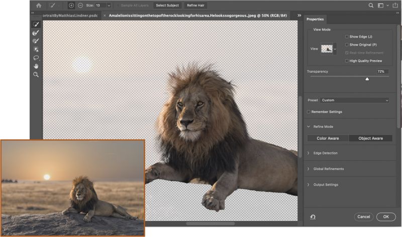 Photoshop Intelligent Refine Edge 1