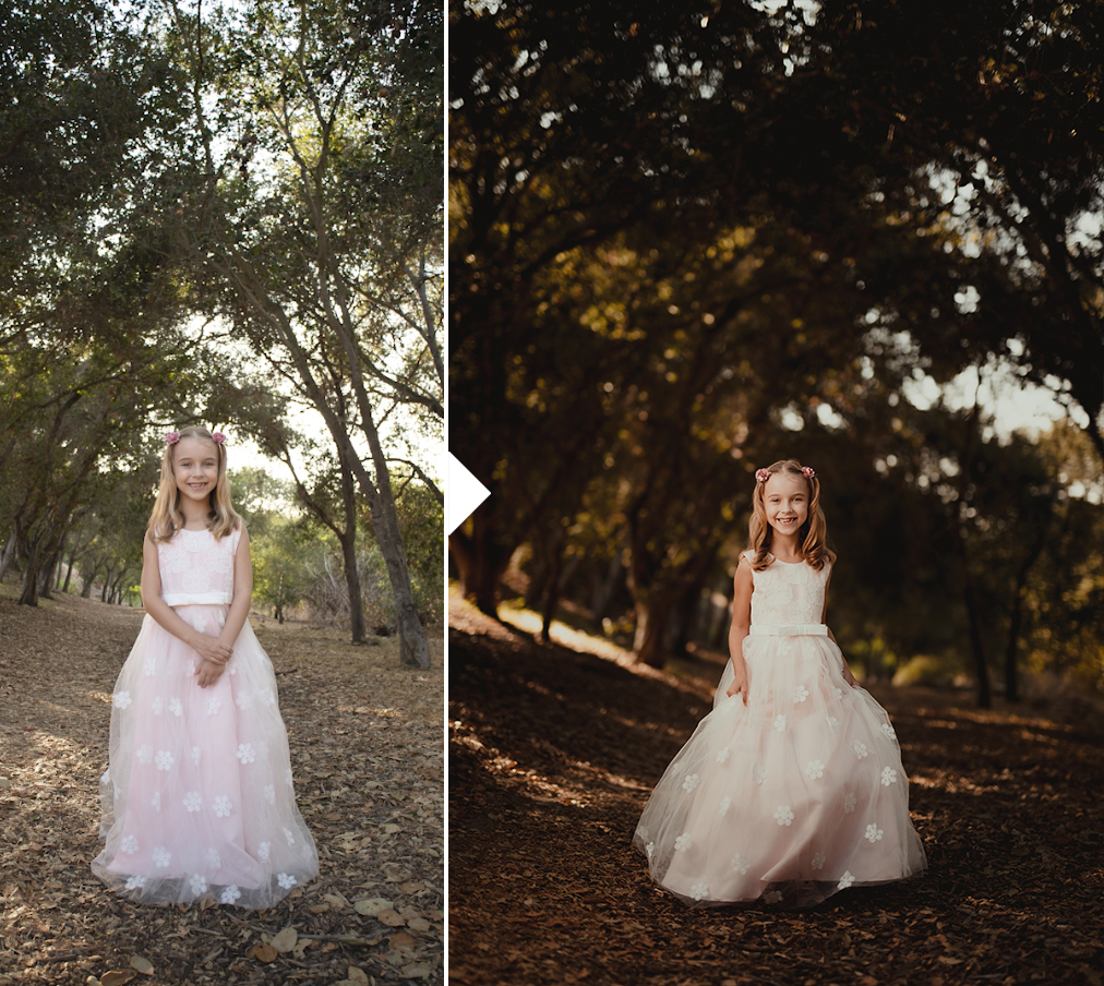 Photo Editing Styles A Comprehensive Overview