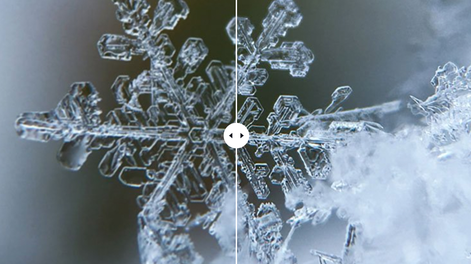 Best Apps and Software to Fix Blurry Photos (updated)