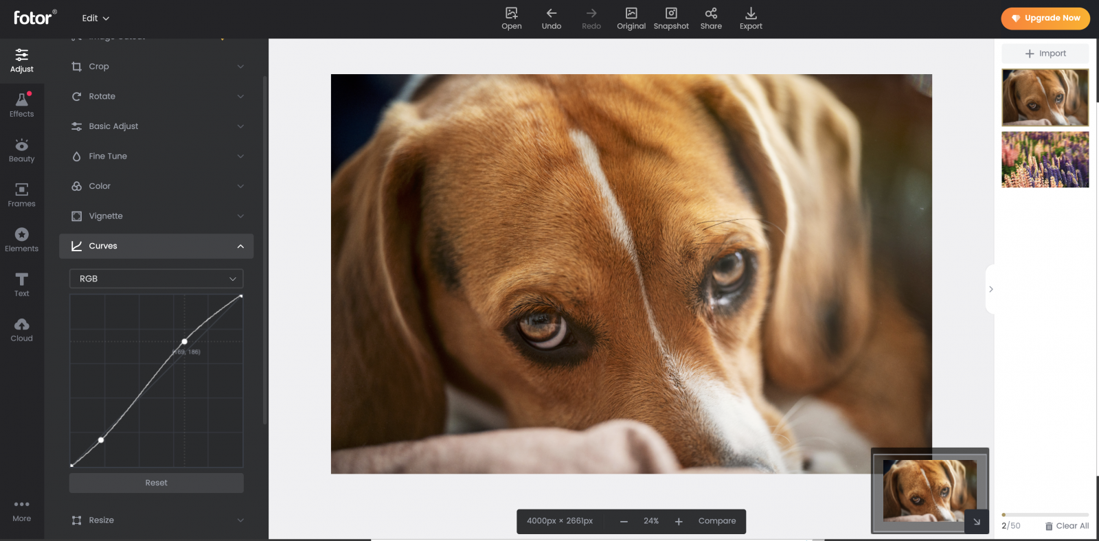 Best Apps and Software to Fix Blurry Photos (updated)