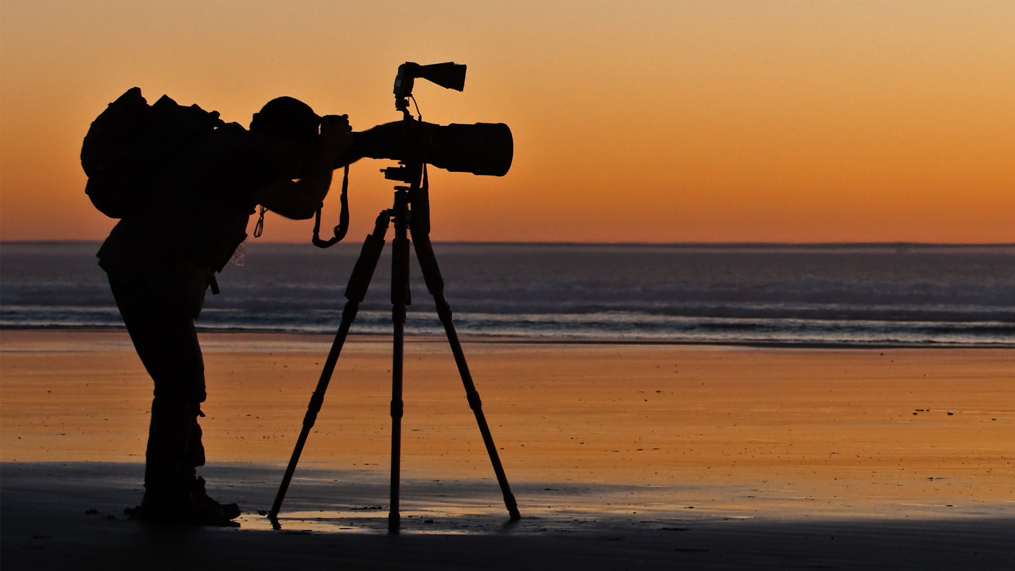 The Face Of The Photography Industry Today And Tomorrow The Face Of The Photography Industry Today And Tomorrow
