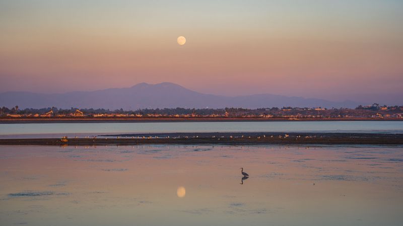 urban landscape photo tips symmetry reflections