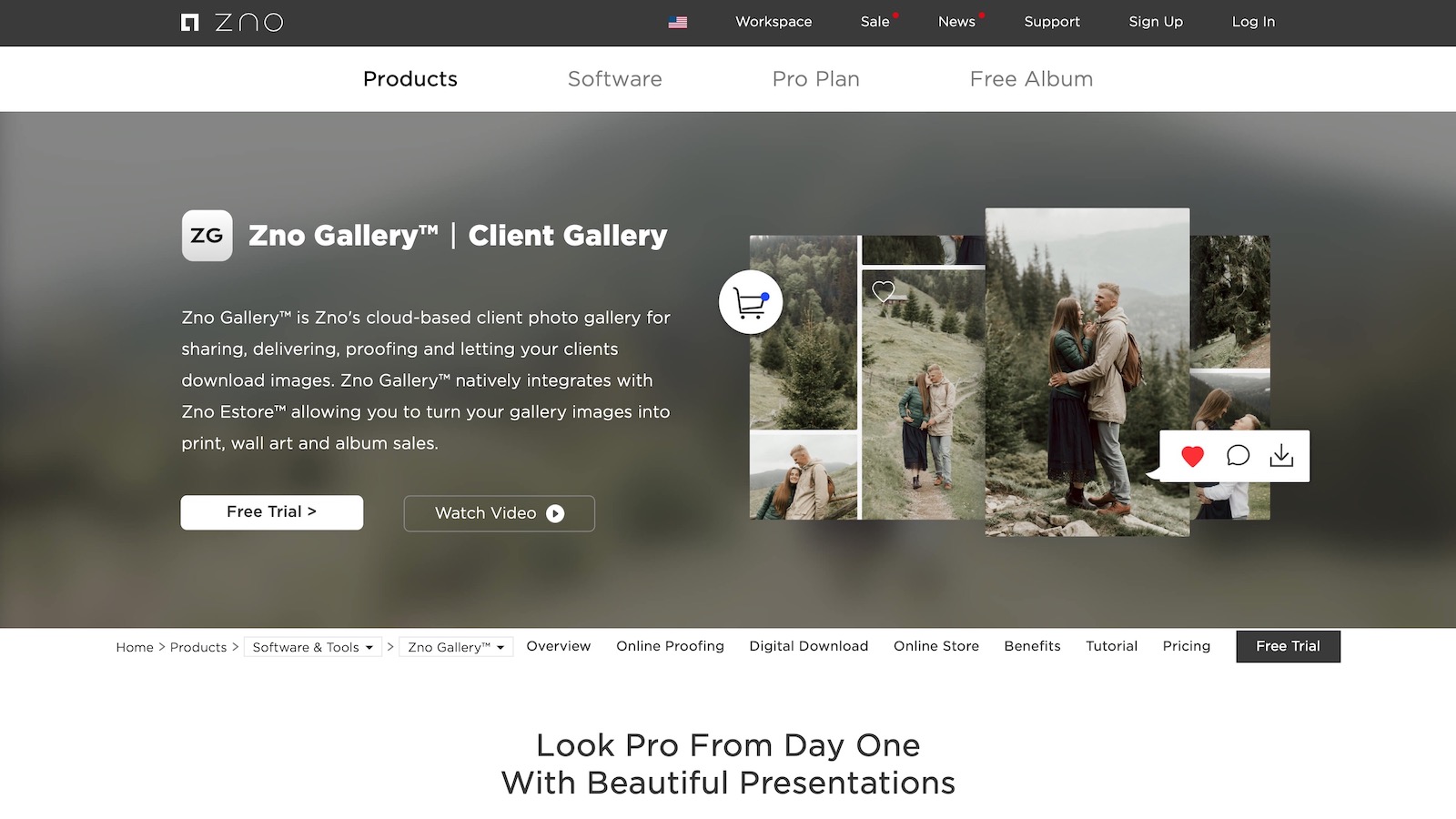 Best Online Galleries for Photographers (Updated)