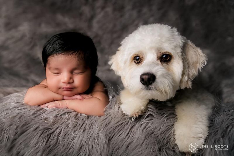 3 newborn baby photoshoot ideas