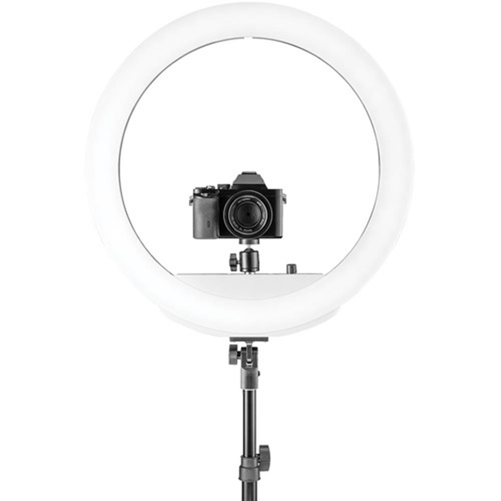 Best Ring Light for Photography and Videography