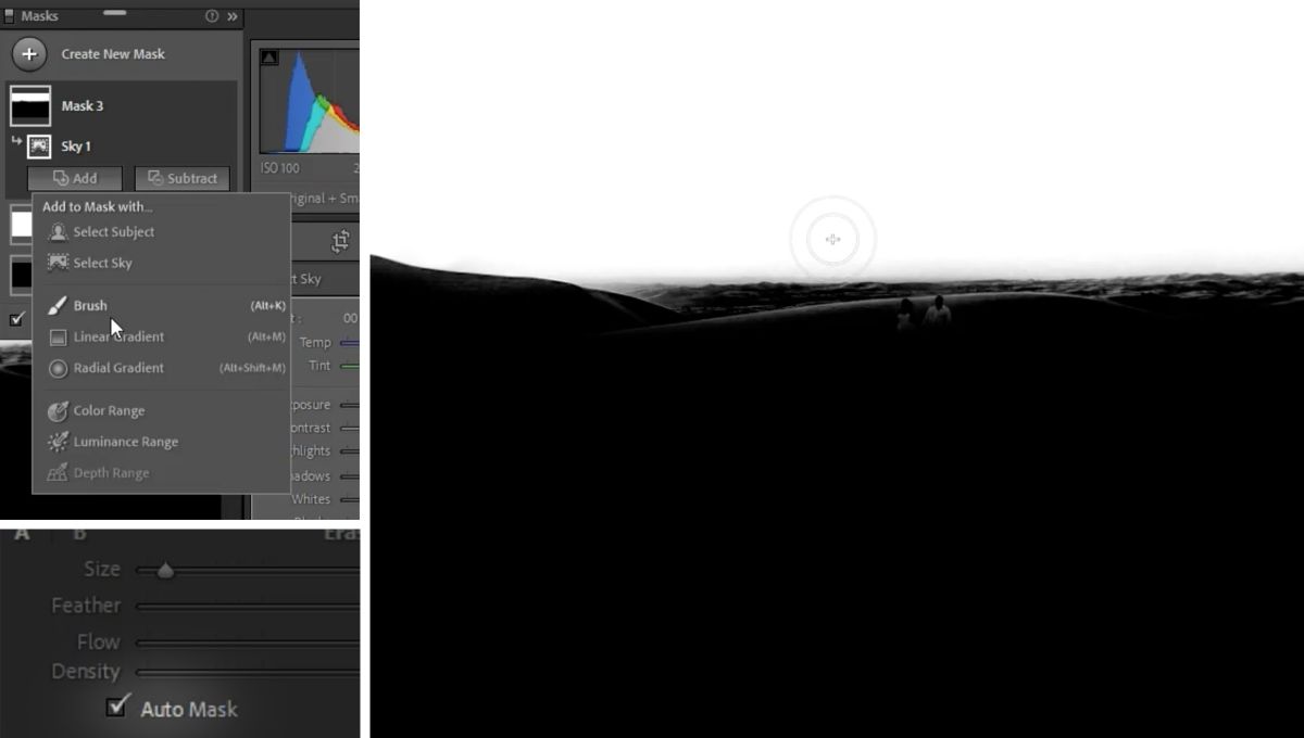 Advanced Masking in Lightroom Using New AI Features
