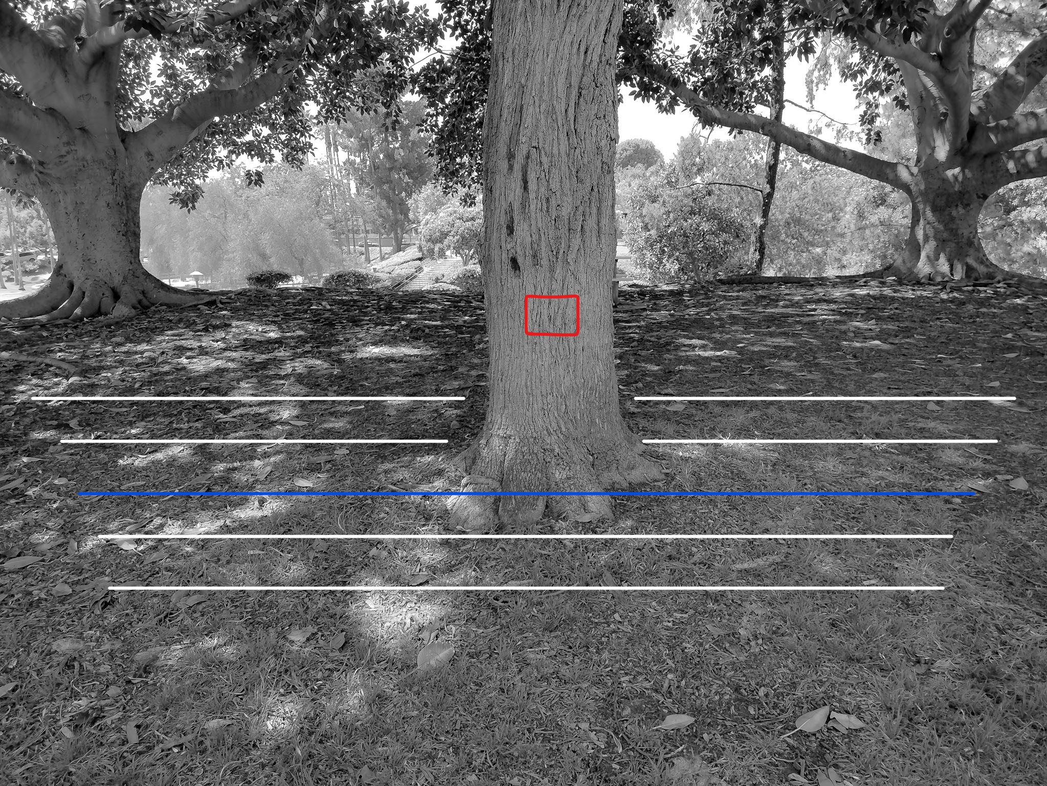 How To Calibrate Your Lenses | A Simple Fix For Blurry Images (Updated)