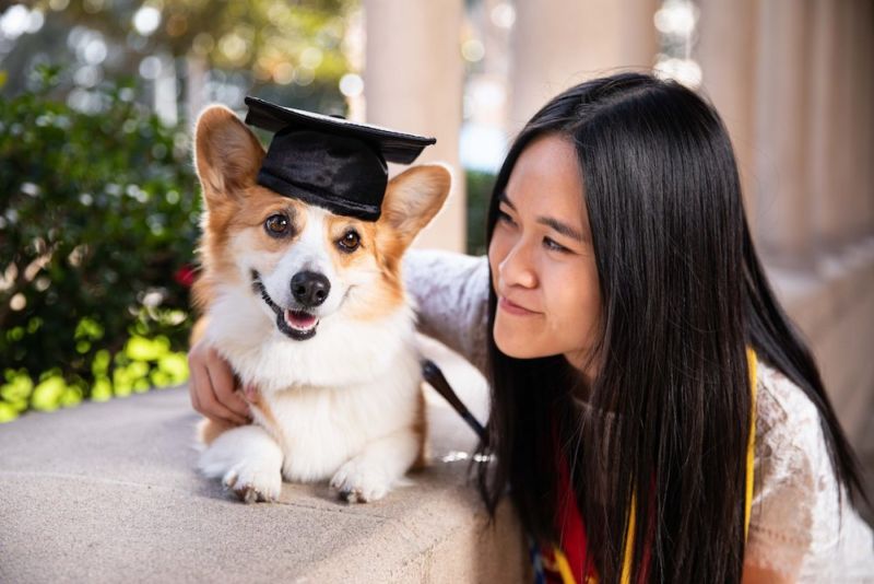 graduate dog