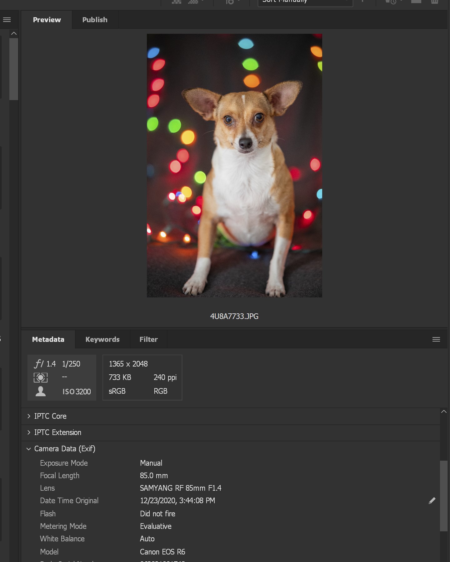 Adobe Lightroom Bridge and Camera Raw interface showing EXIF data for multiple images to identify patterns in focal length aperture and exposure settings across a photographer's best work