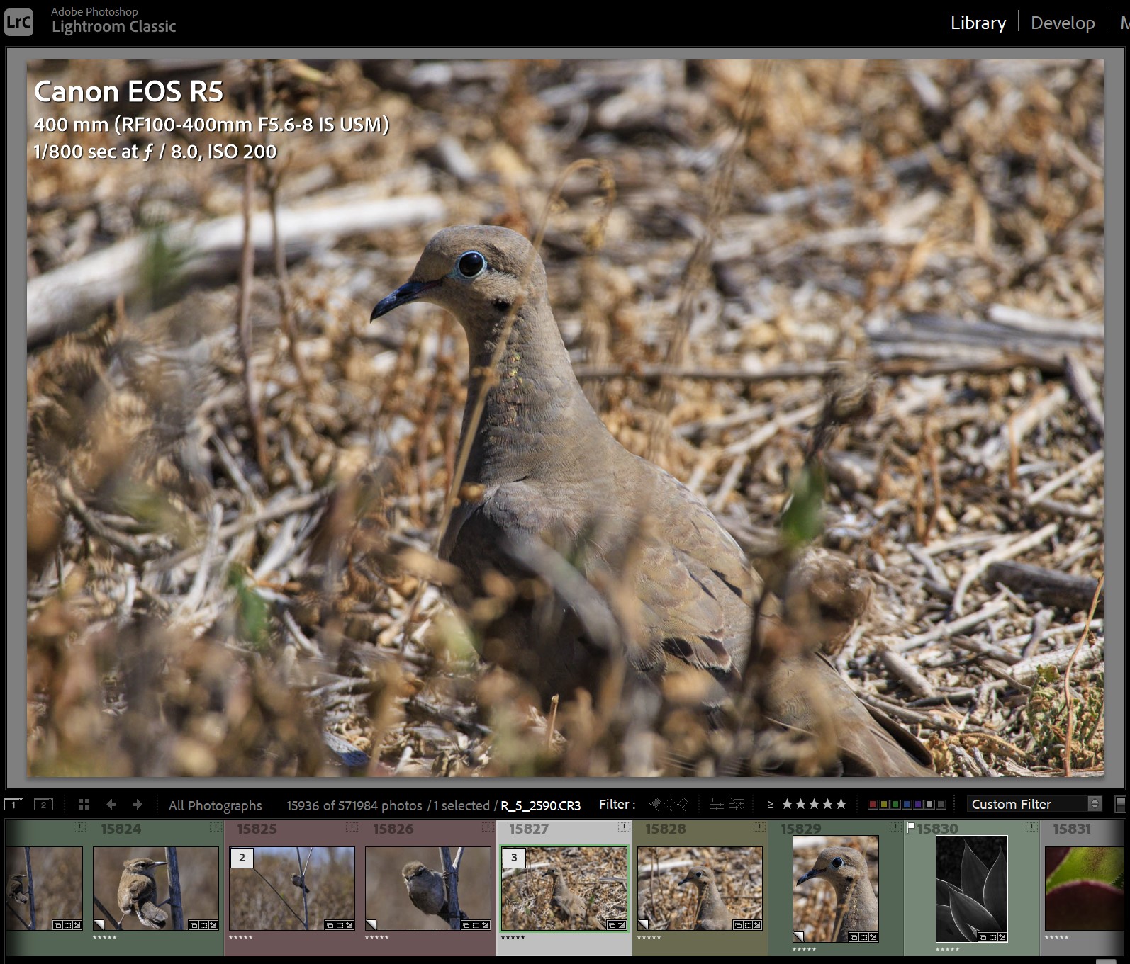 Adobe Lightroom Library module showing the full EXIF data panel on the right side with camera model lens focal length shutter speed aperture and ISO visible