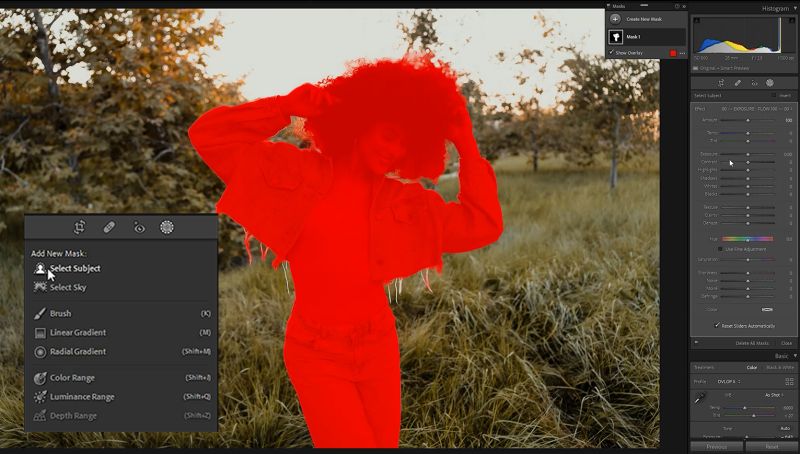 lightroom features subject mask