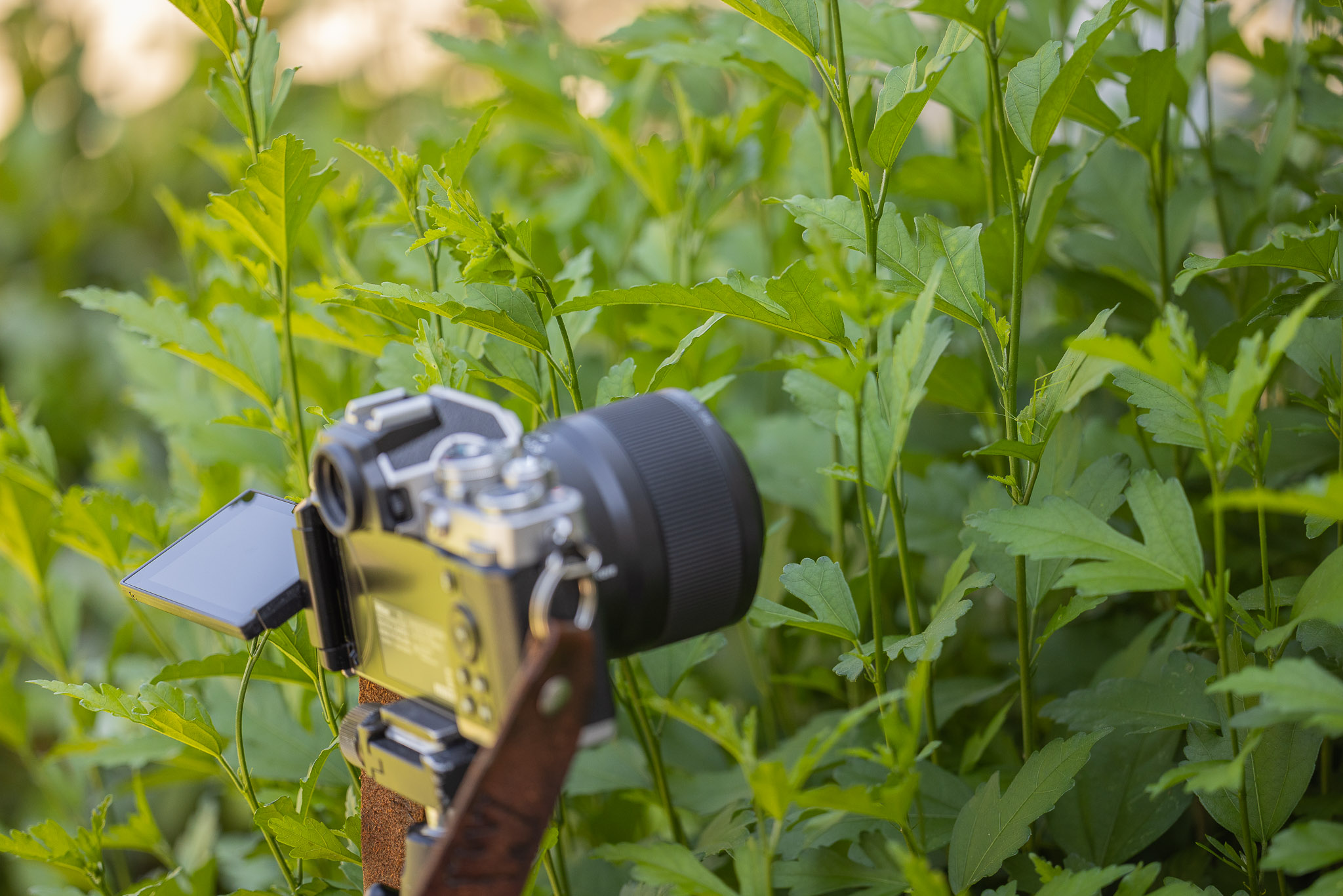 Nikon Z fc Review | Classic Retro Style Digital Camera, Done Right