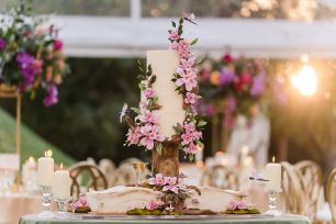 Tamron 70 180mm for wedding photography sony mirrorless 9 1