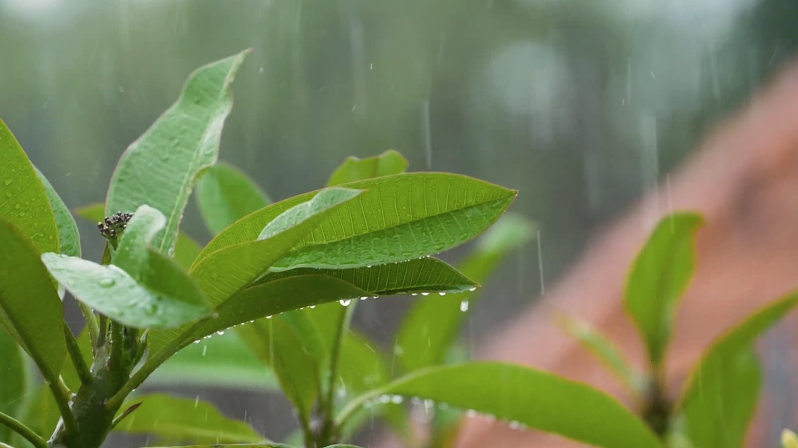 video editing tips rain video