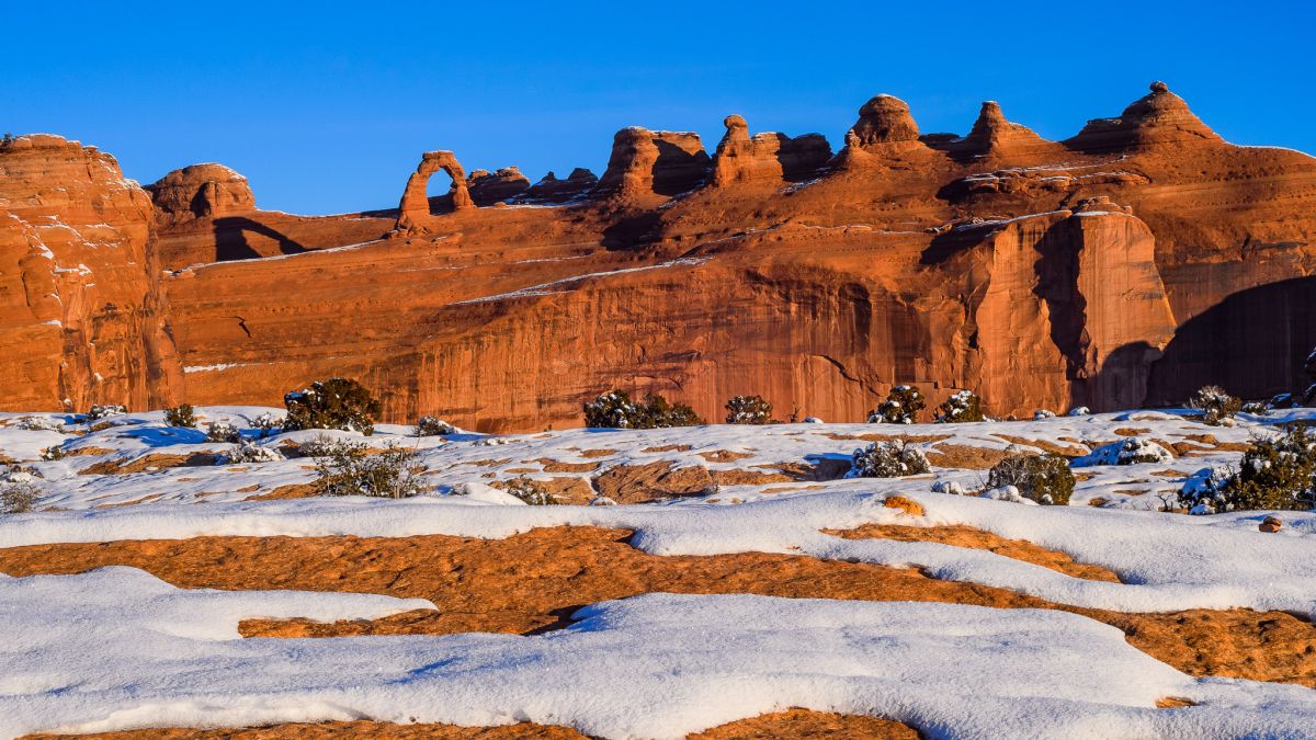 7 Winter Photography Tips, Ideas, and Examples