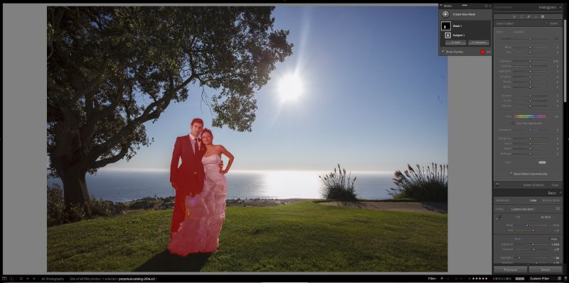 Couple selected in front of beachfront