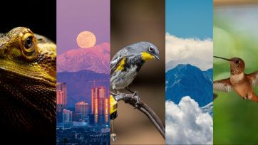 Tamron Telephoto Lenses for Mirrorless Cameras Feature 01