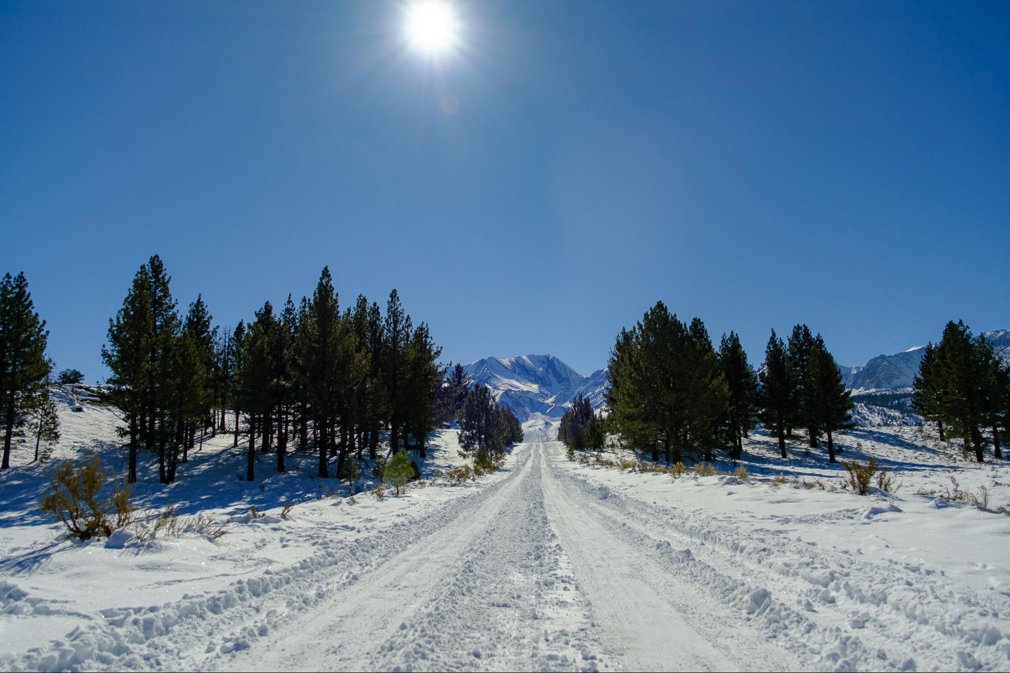 Snowy road