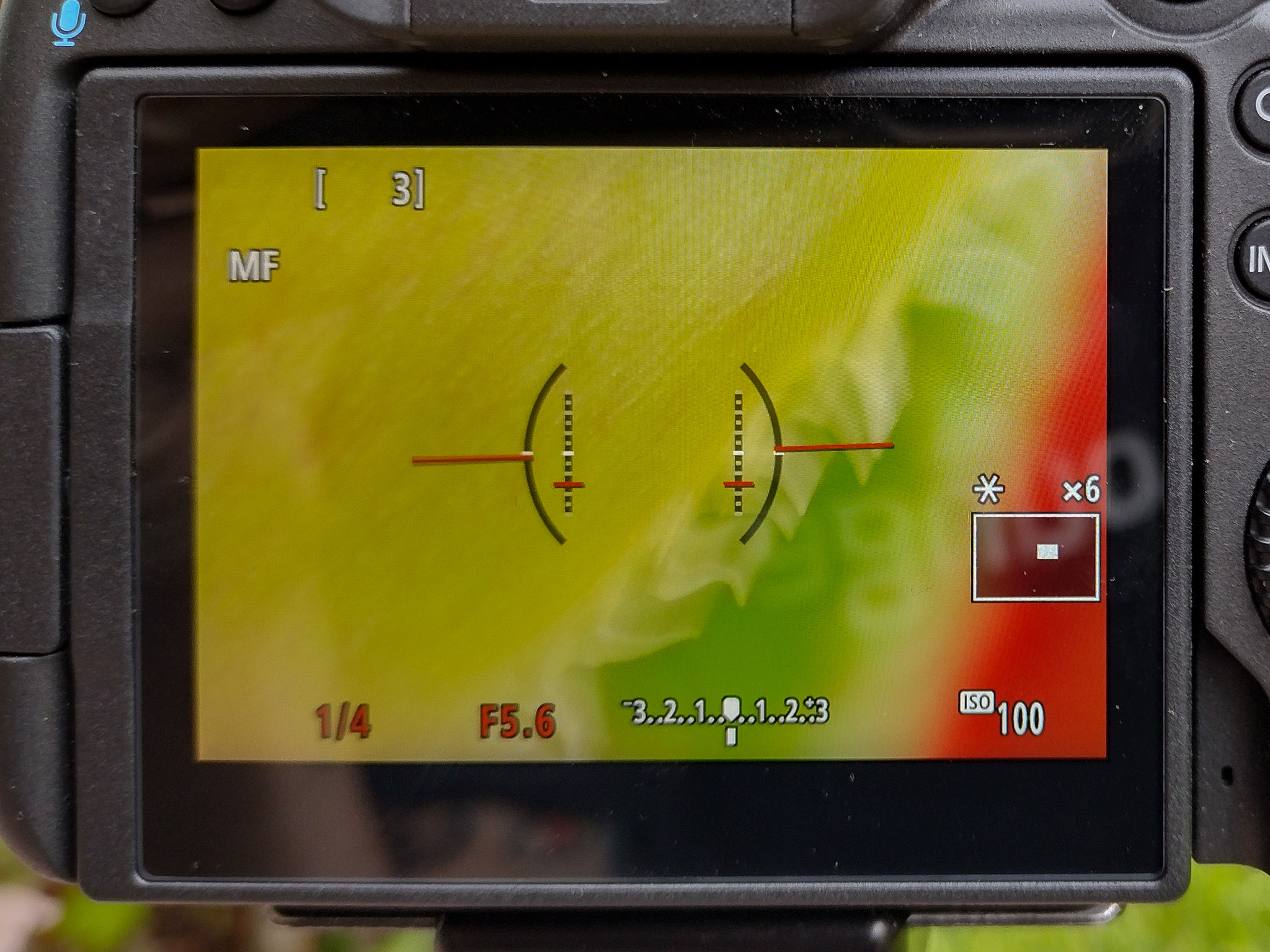 canon rf 100mm f 2.8 L macro review 02