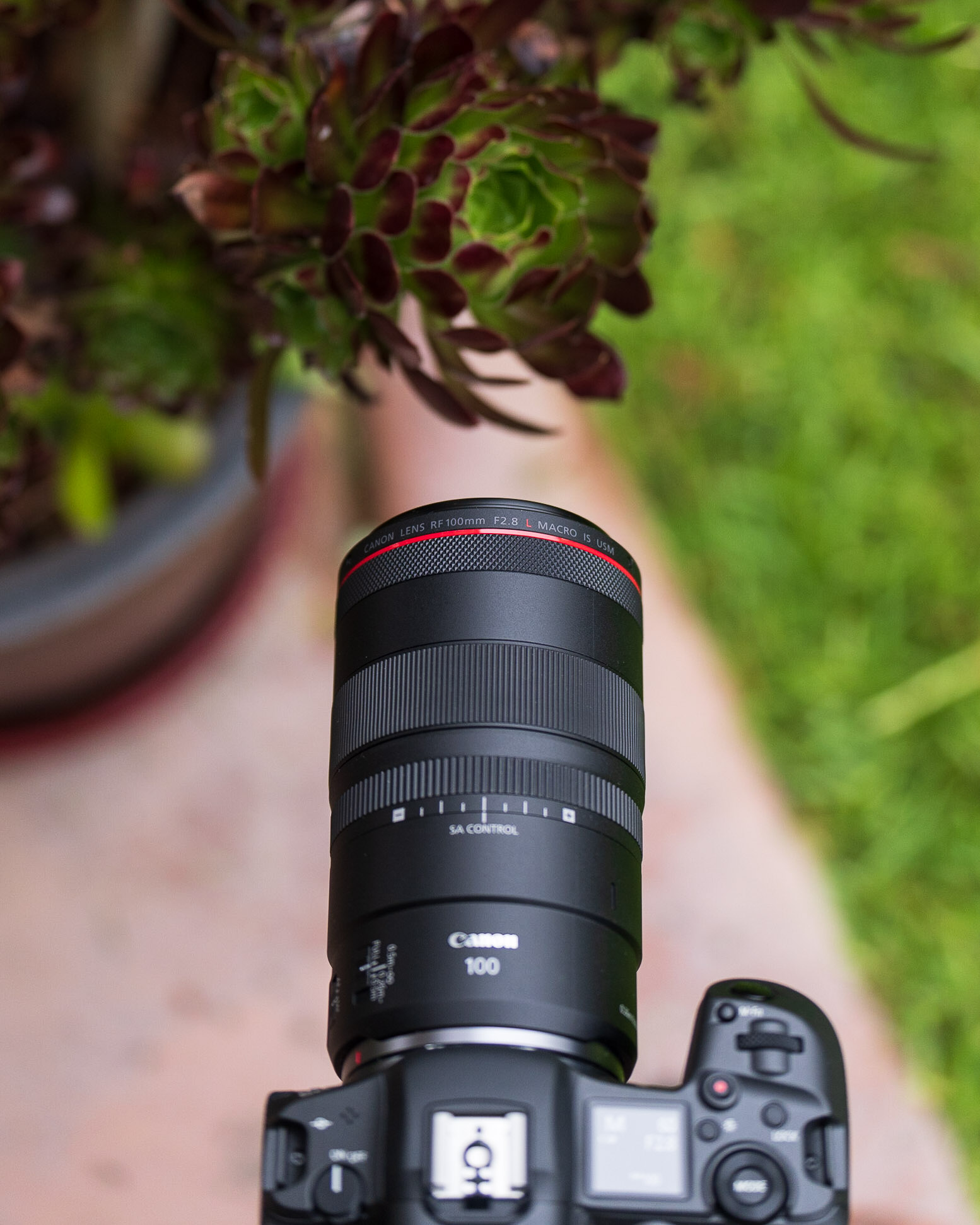 Canon RF 100mm f/2.8 L Macro IS Lens Review | Improving On Perfection
