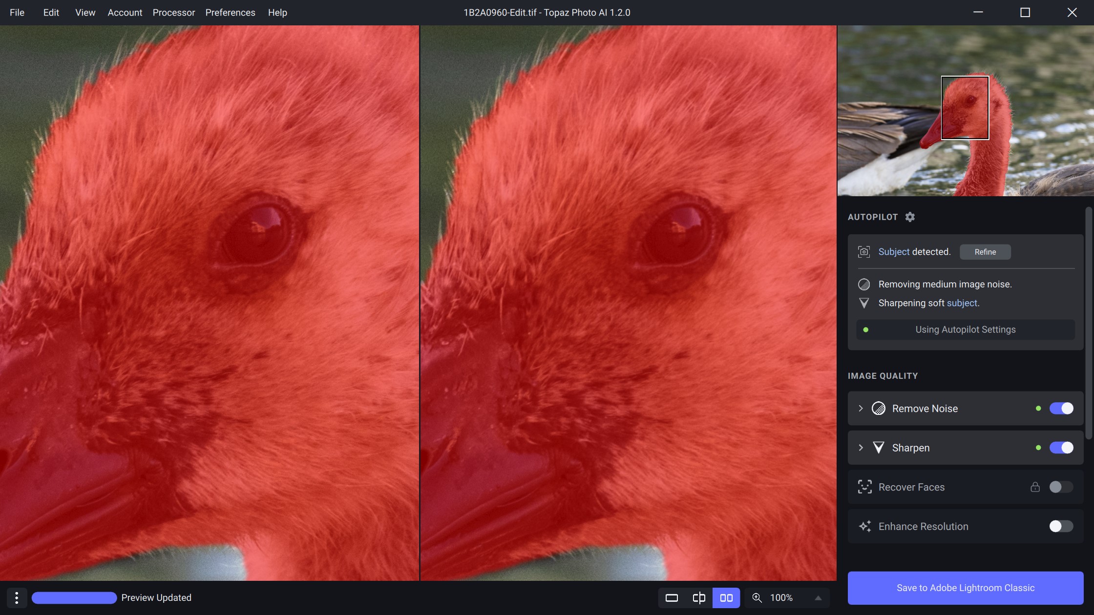 topaz photo ai autopilot subject detection