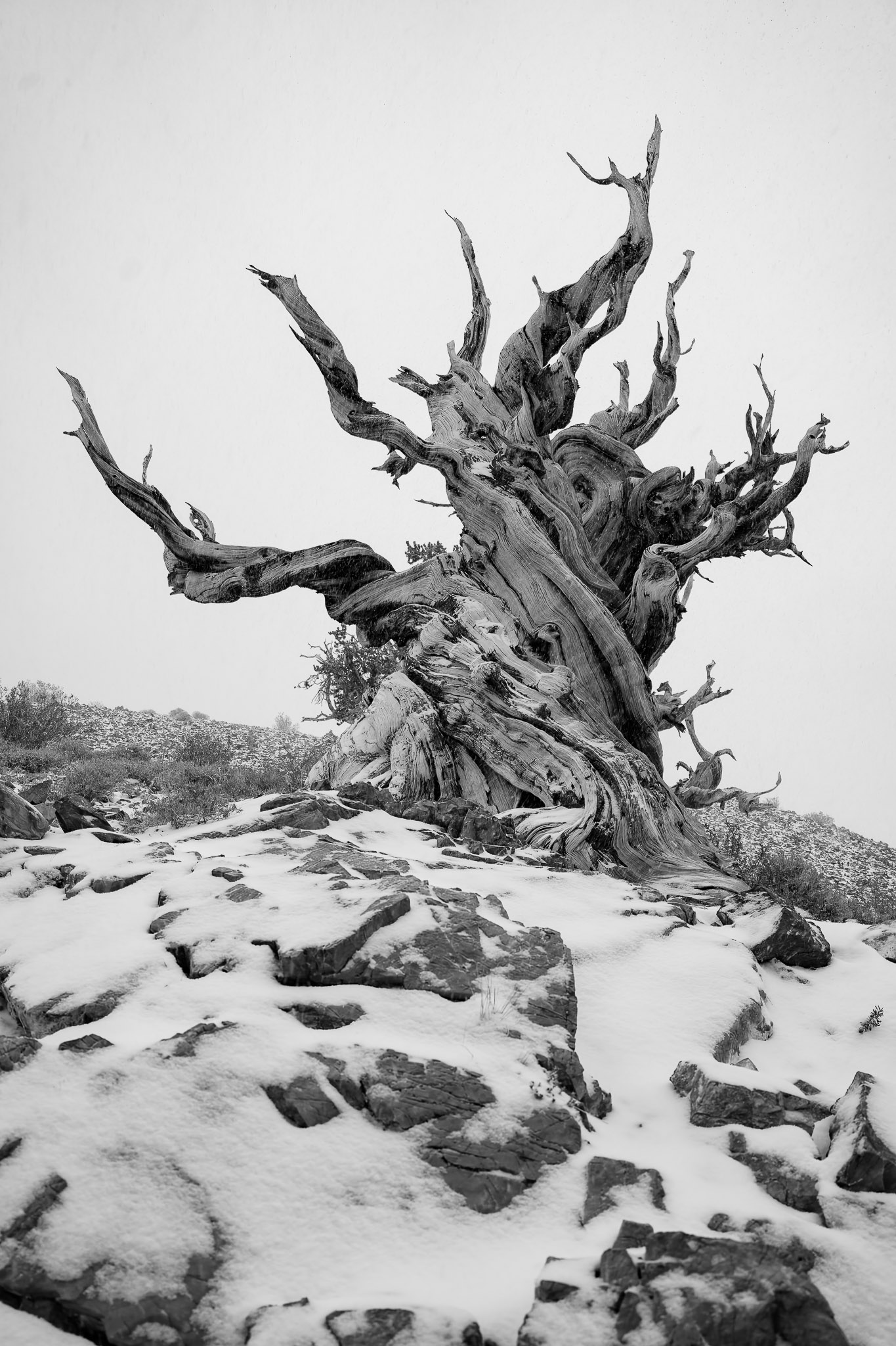 topaz photo ai large print landscape photography 1