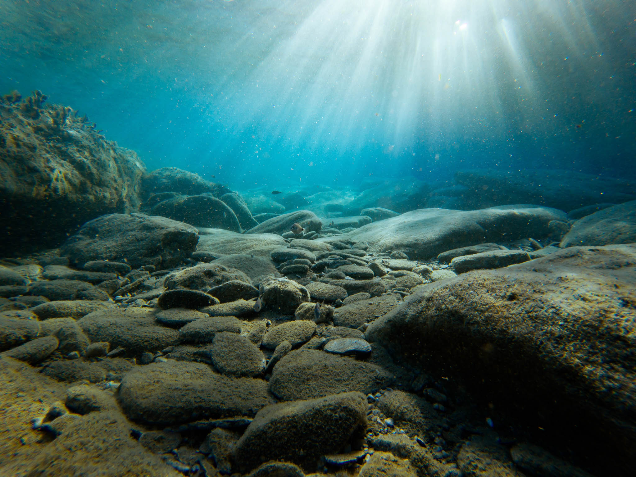 underwater photography