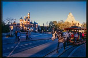 scan a film negative or slide with a macro lens