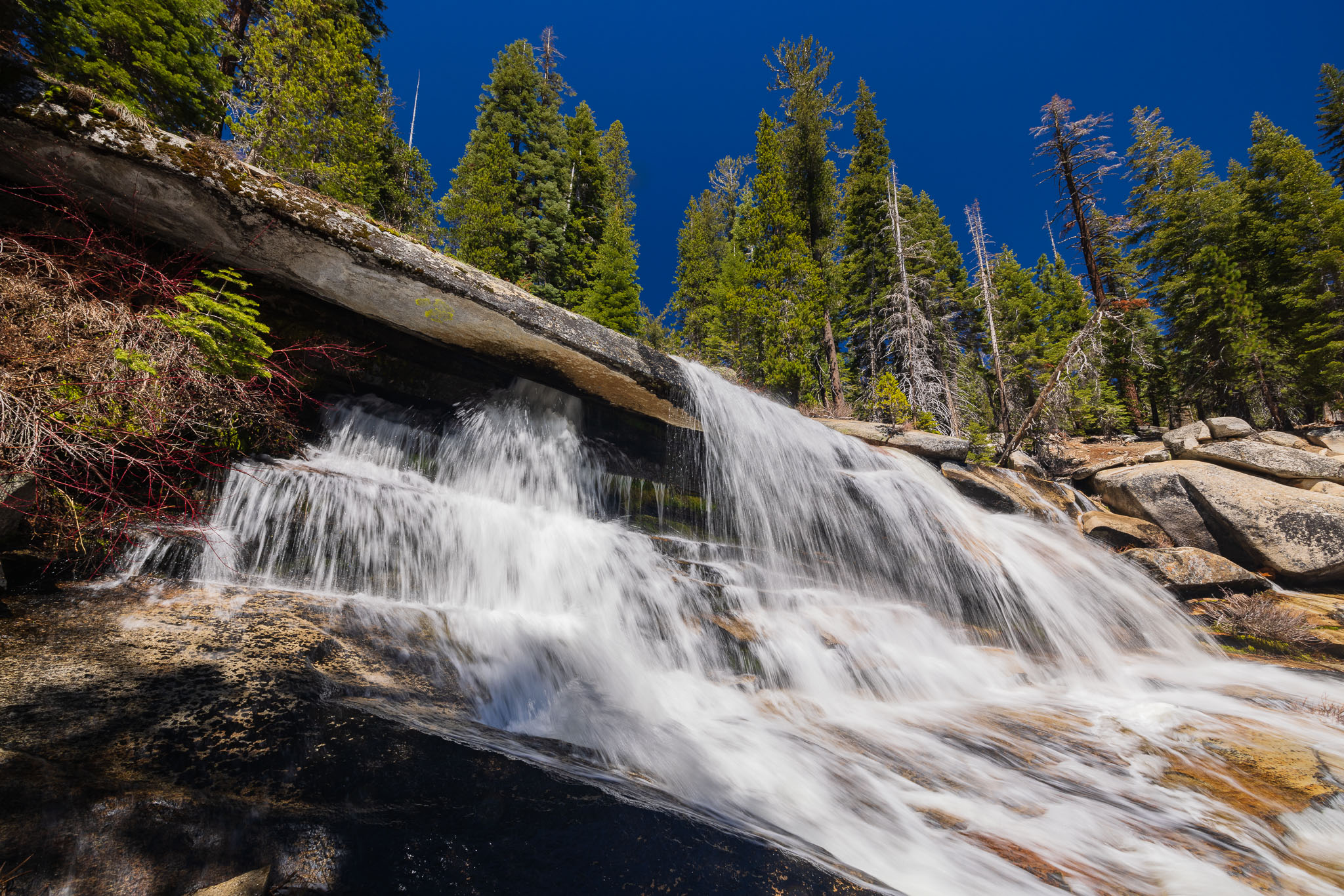 canon rf 14 35mm f4 l is review 26