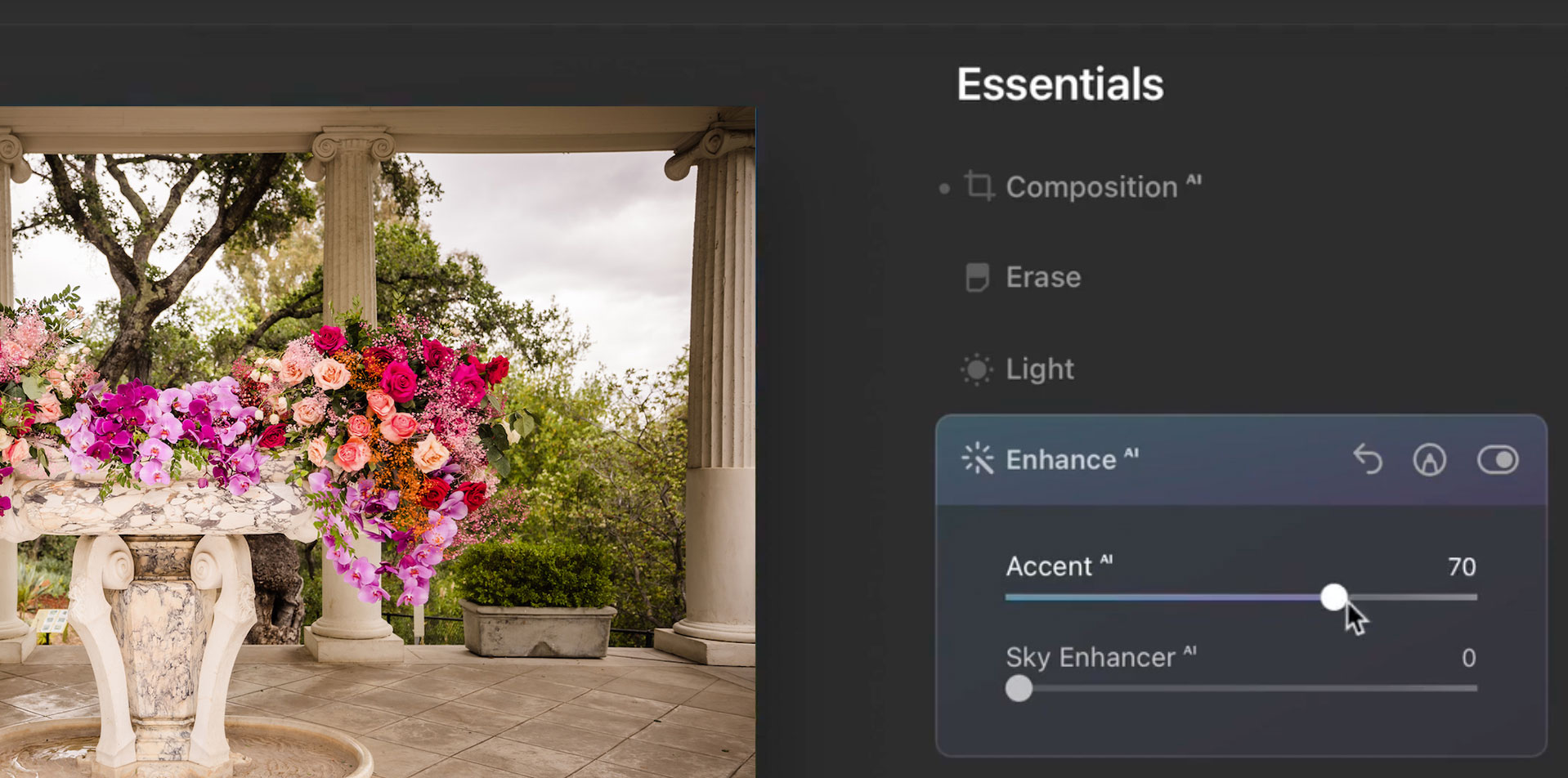 Guide to AI Photo Editing Options for Photographers