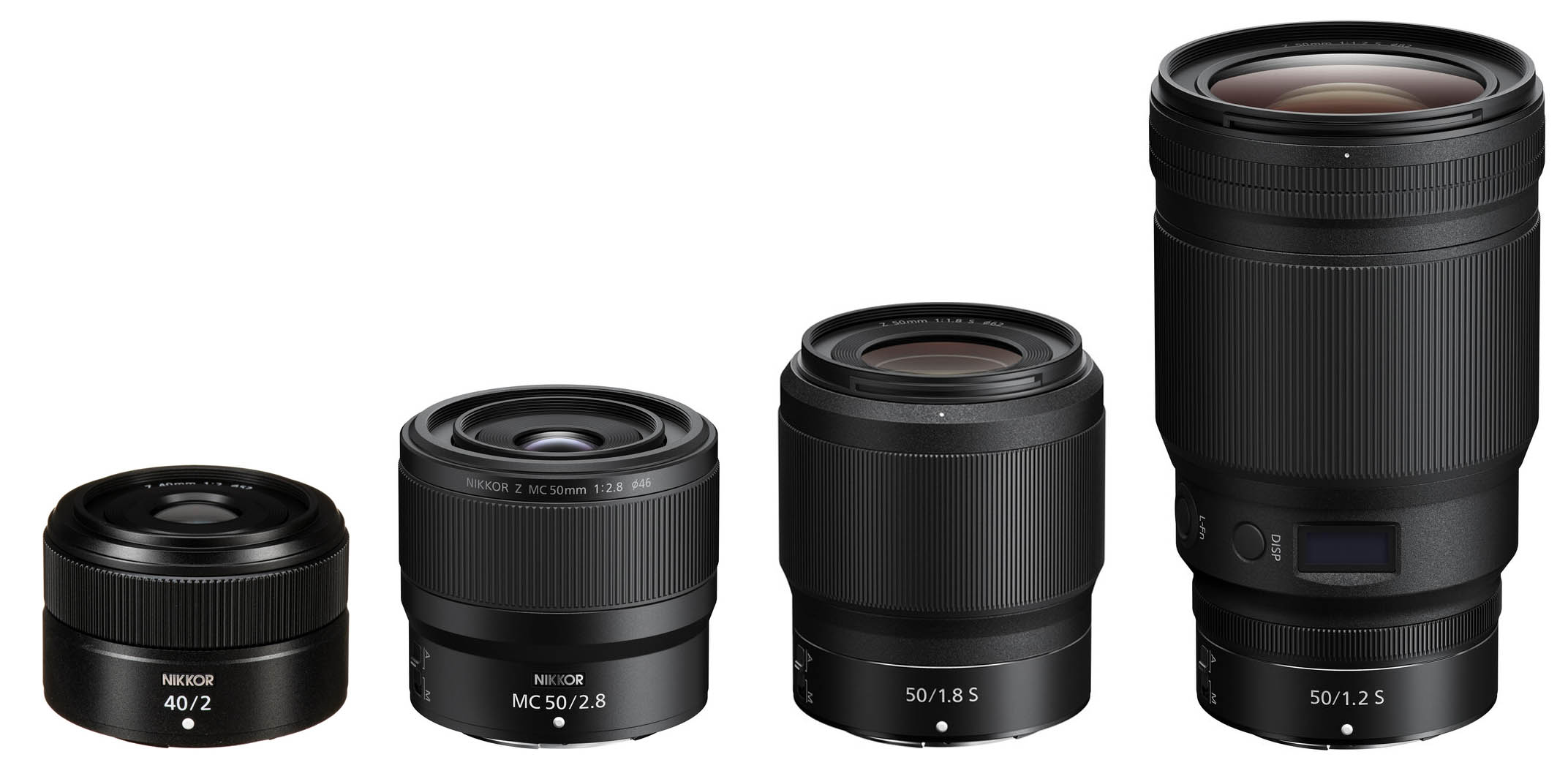 Nikon Z MC 50mm f/2.8 Macro Lens Review | Beautiful Macro Results