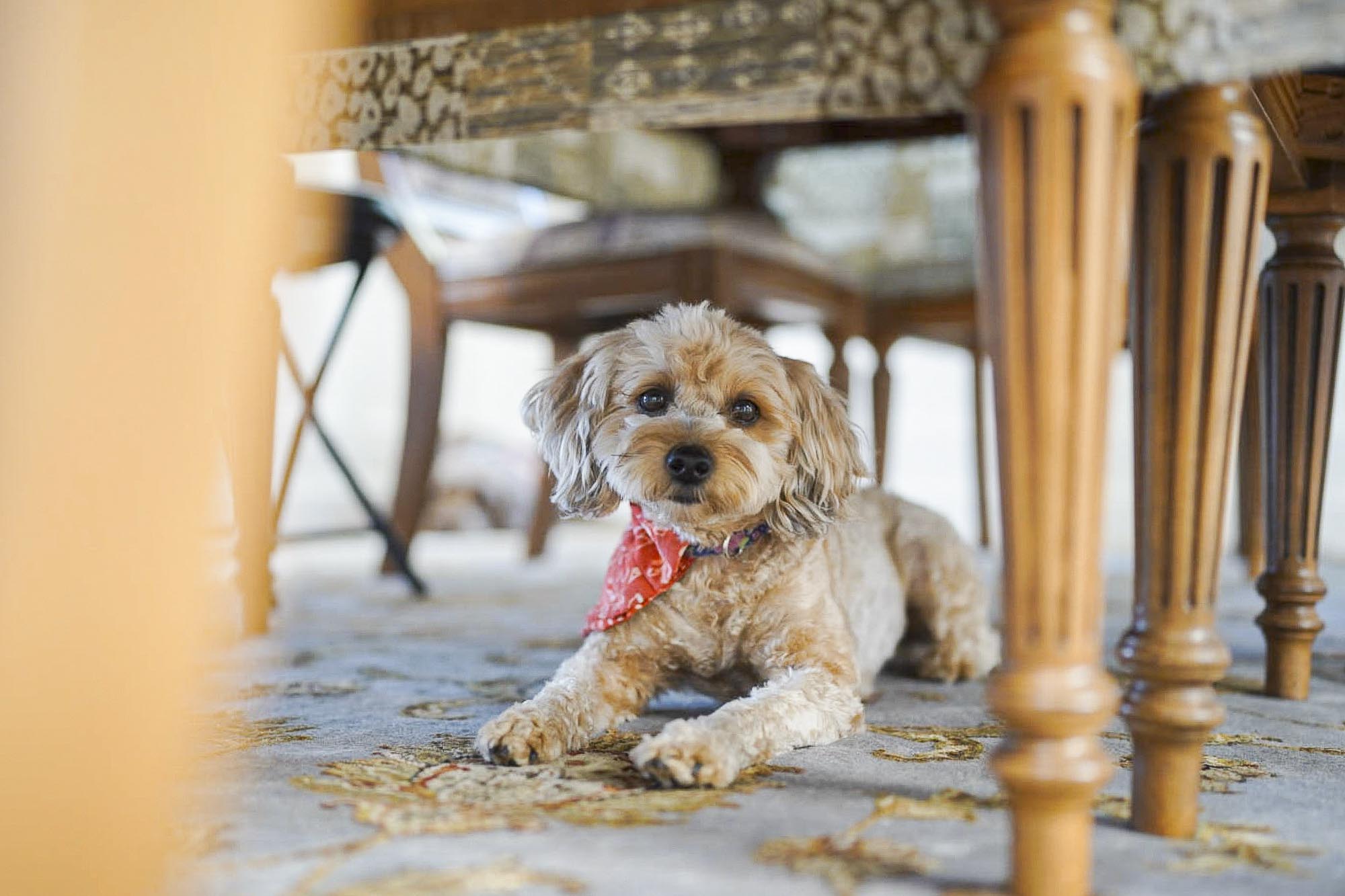 Screenshot 2023 05 03 082107 1