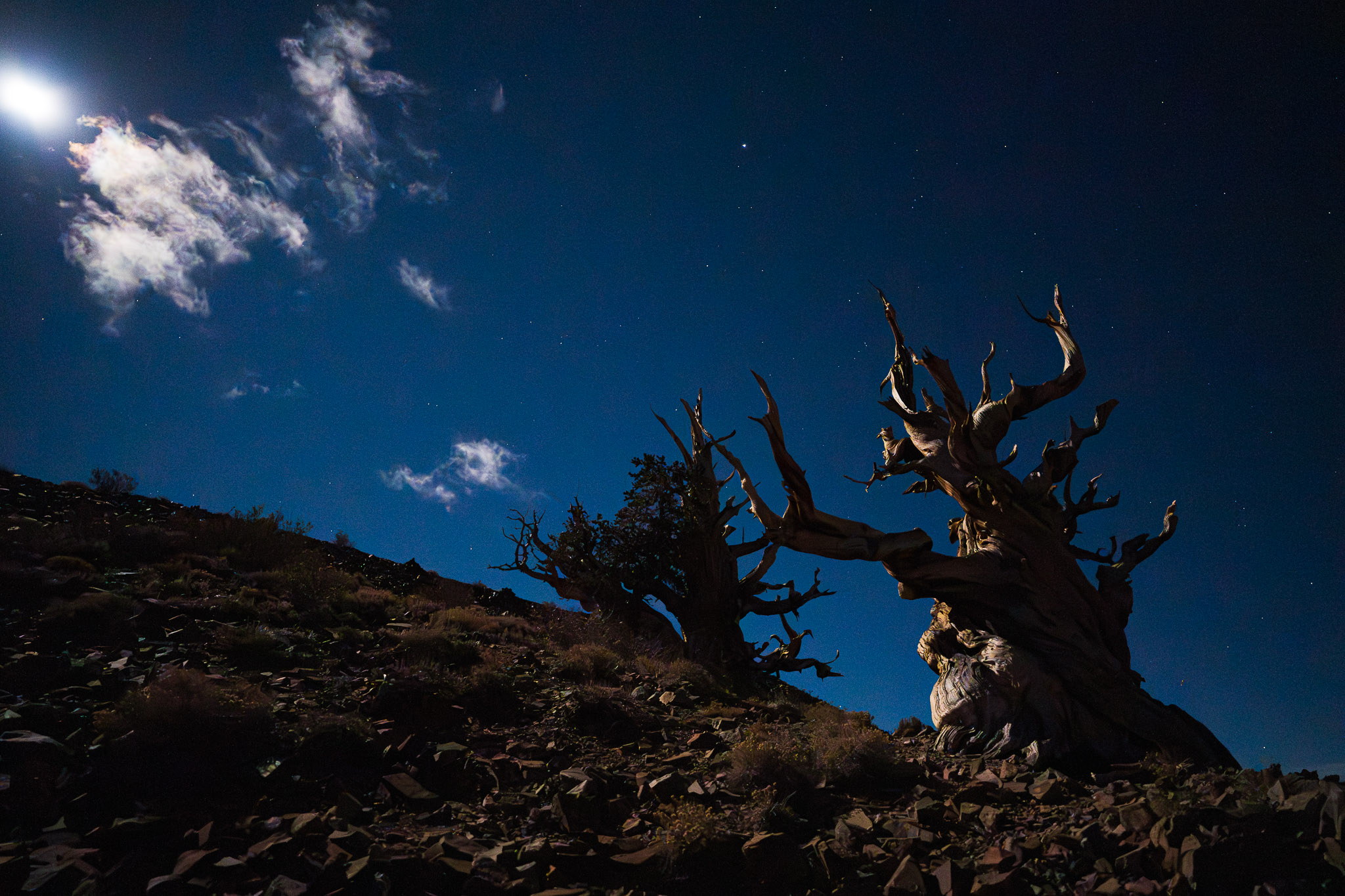 best astro landscape lens sigma 20mm f 1.4 1