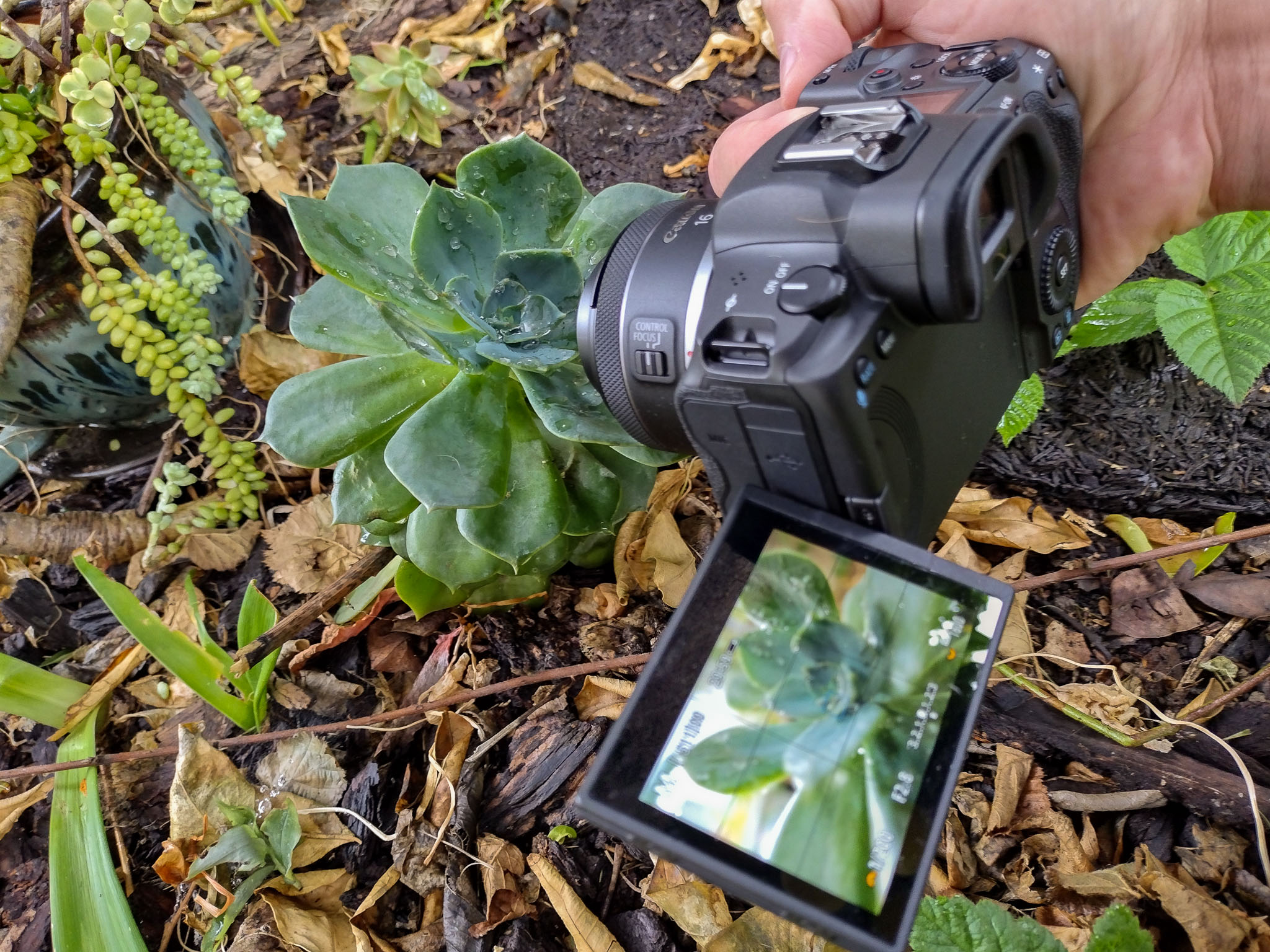 canon rf 16mm f 2.8 lens review 03