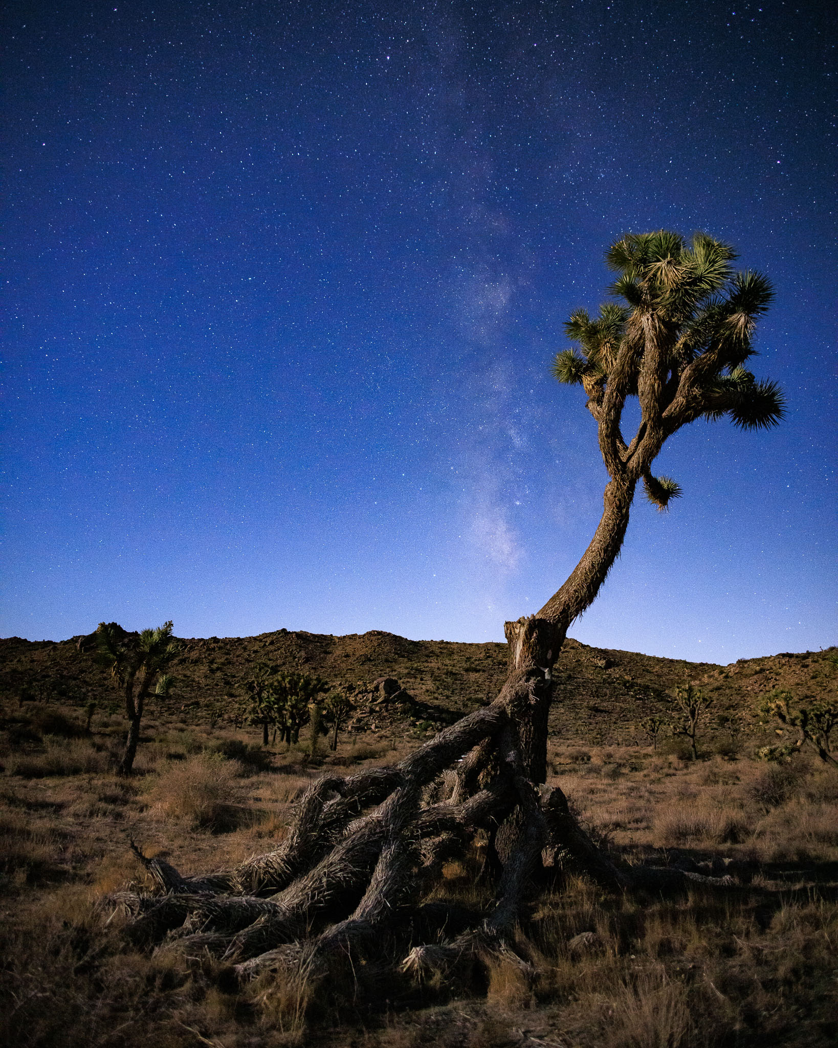 canon rf 16mm f 2.8 lens review 27