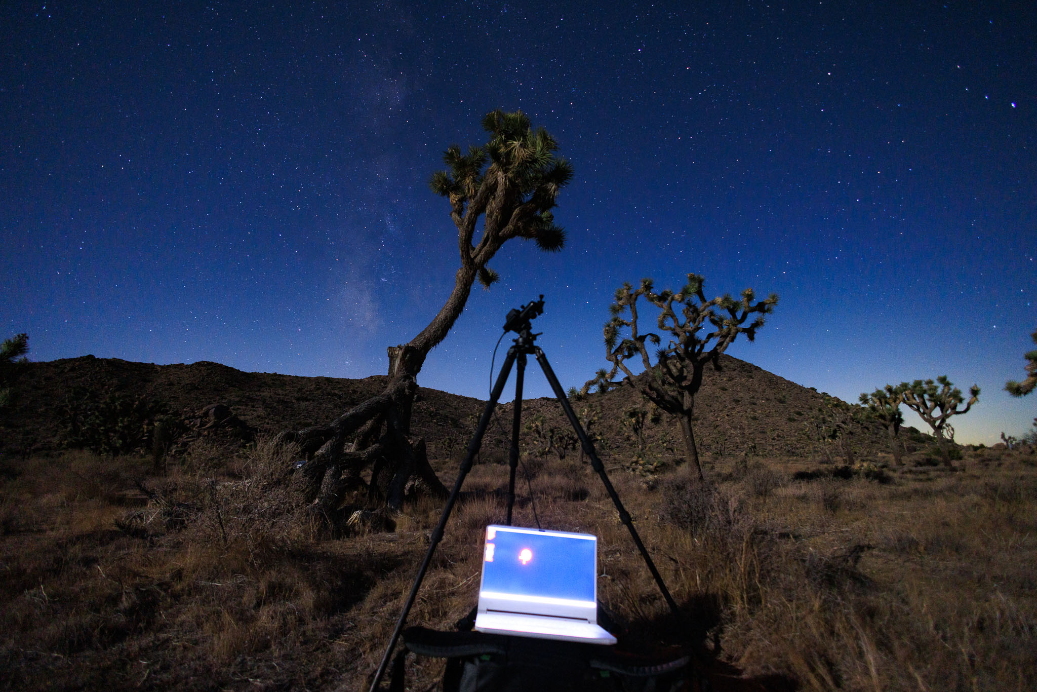 canon rf 16mm f 2.8 lens review 28