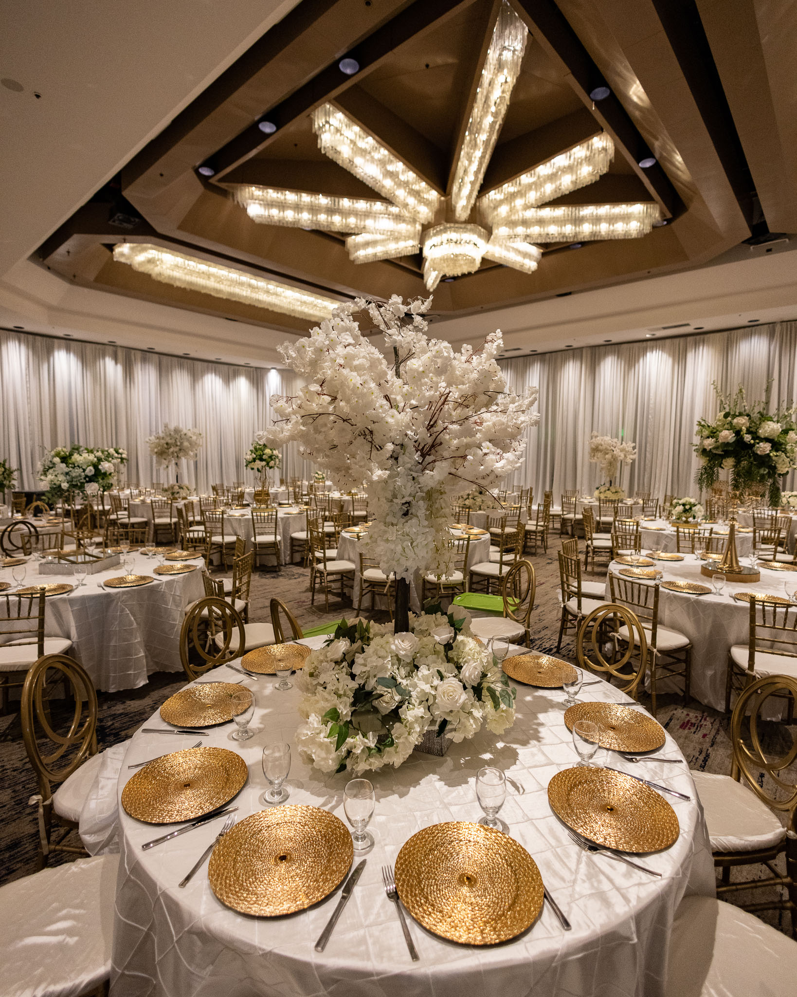 canon rf 16mm f 2.8 lens review 29