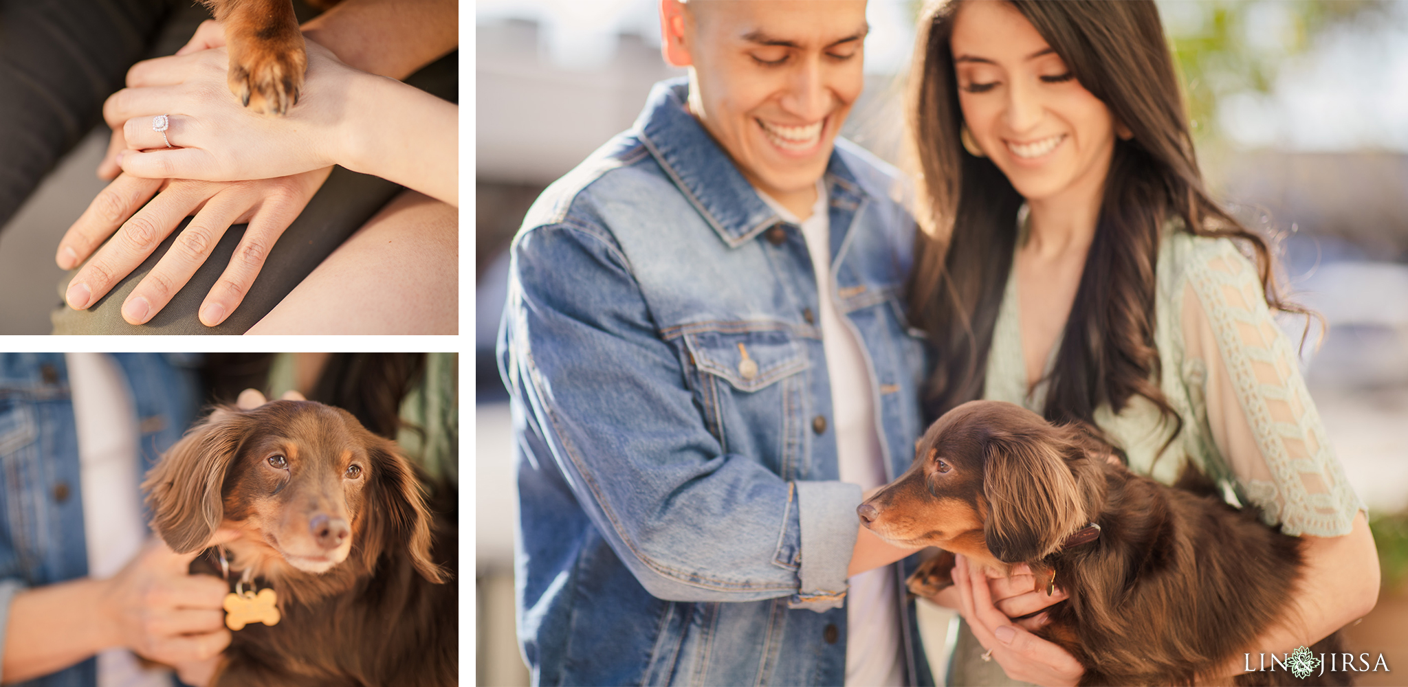 engagement pose play with dogs