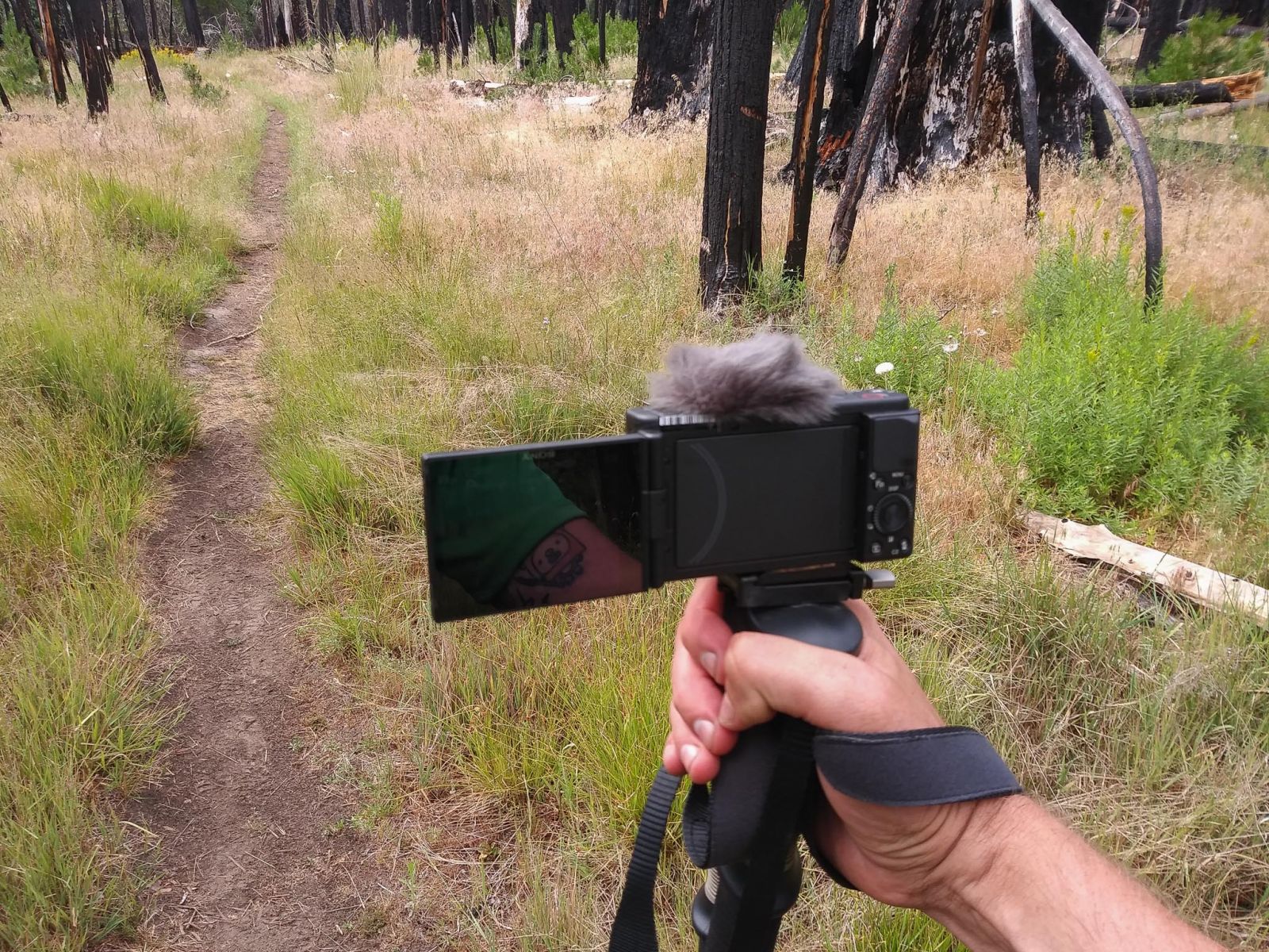 The Best Compact Camera For Professional Photographers