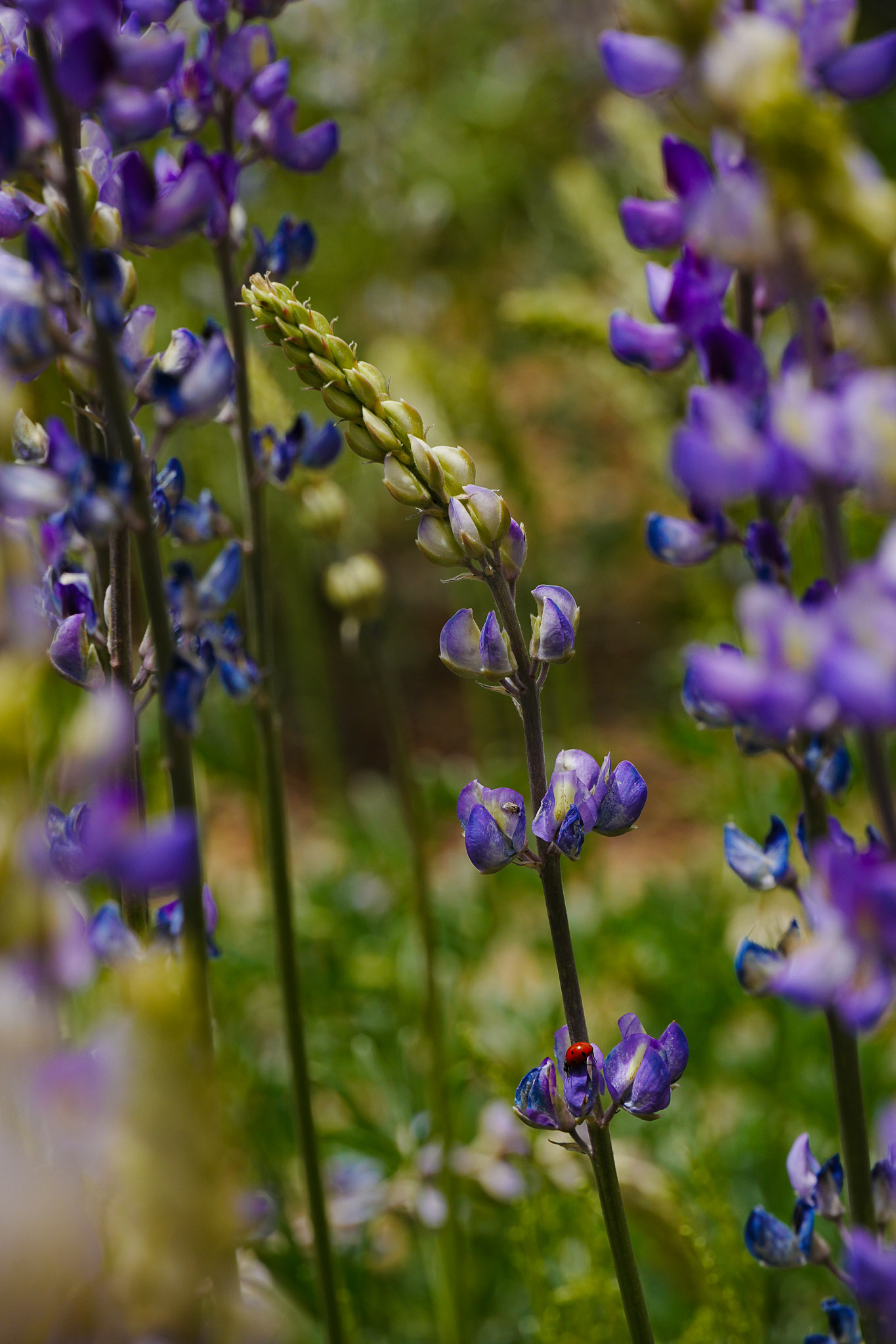 Sony A6700 review adventure wanderlust 1 2