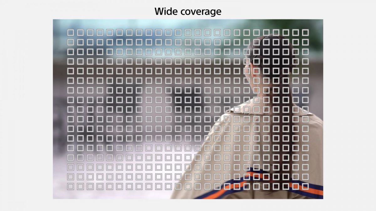 Affordable Top Cameras for Portrait Photography