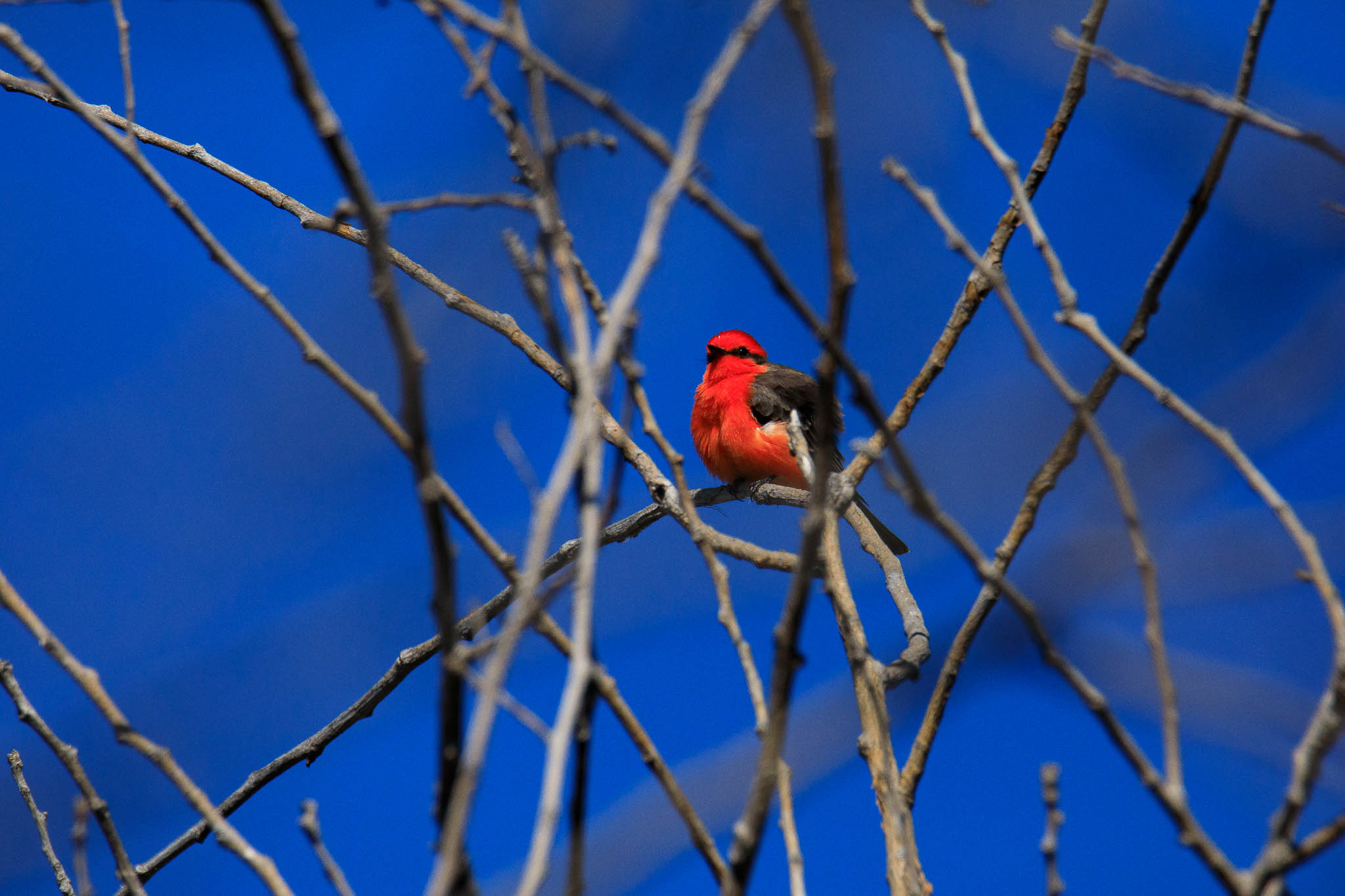 Complete Guide to Tamron Lenses in 2023